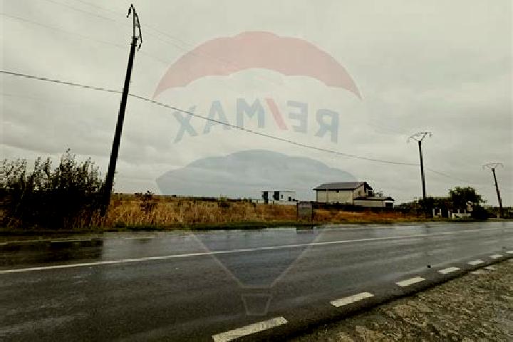 Victoria, 36 — Escort in Frumusani, Romania