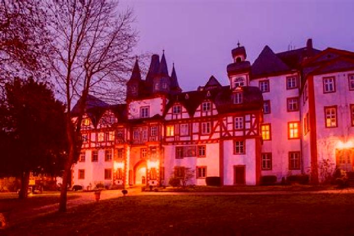 Victoria, 36 — Escort in Hungen, Germany