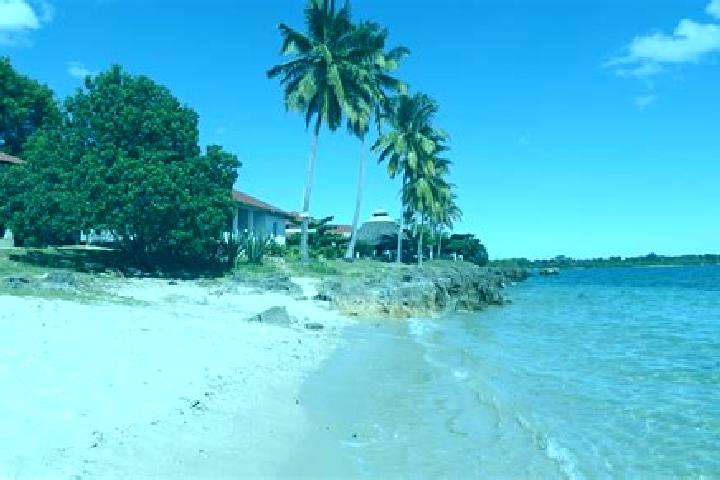 Victoria, 36 — Escort in Mtwara, Tanzania