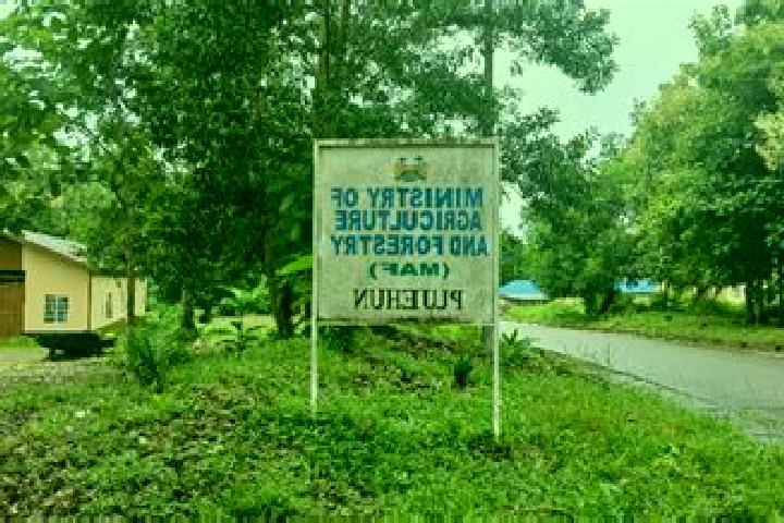Victoria, 36 — Escort in Pujehun, Sierra Leone