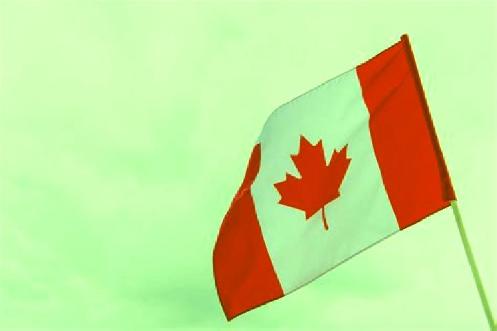 Victoria, 36 — Escort in Traders Cove, Canada
