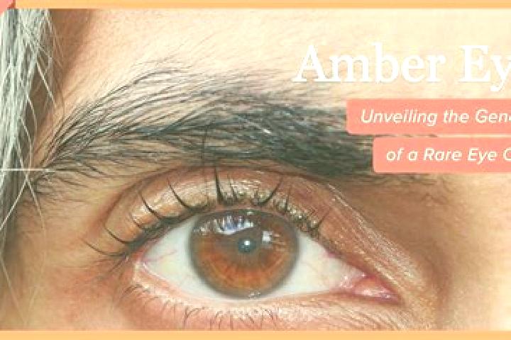 Victoria, 37, a black amber-eyed mixed companion based in Schinveld. Offering Duos, OWO, BDSM, Striptease. Available for incall and outcall, day and evening ...