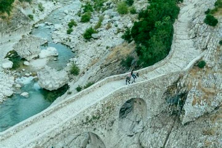 Victoria, 37 — Escort in Brataj, Albania