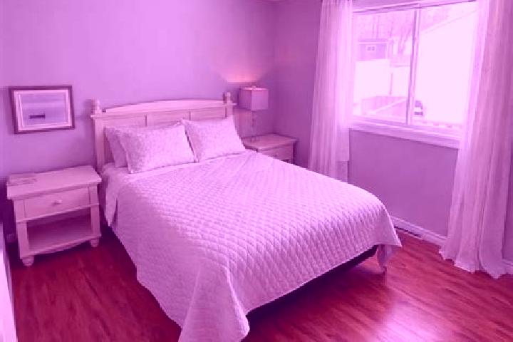 Victoria, 37 — Escort in Clarenville, Canada