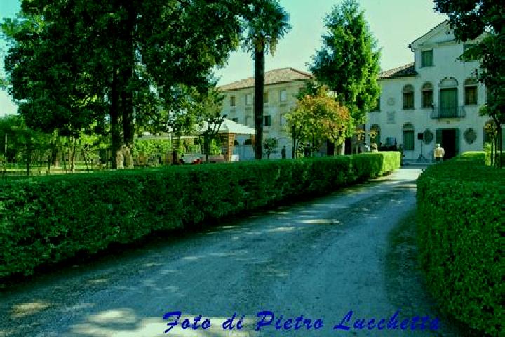 Victoria, 37 — Escort in Fossalta di Piave, Italy