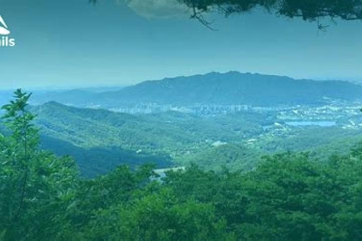 Victoria, 37 — Escort in Uiwang, South Korea