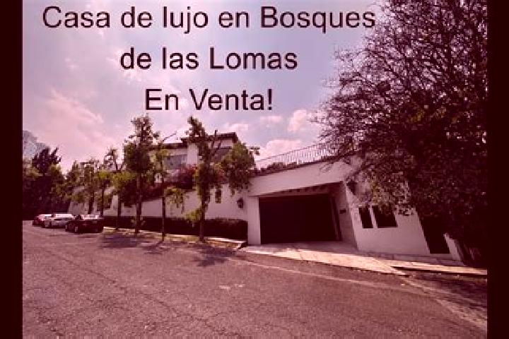 Victoria, 37 — Escort in Villas de las Lomas, Mexico