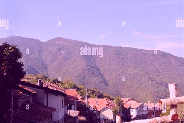 Victoria, 38 — Escort in Carrega Ligure, Italy