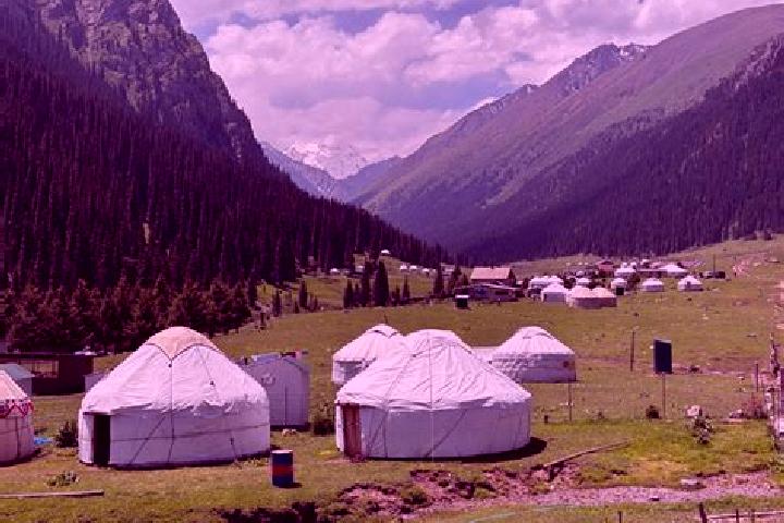 Victoria, 38 — Escort in Kyzyl-Asker, Kyrgyzstan
