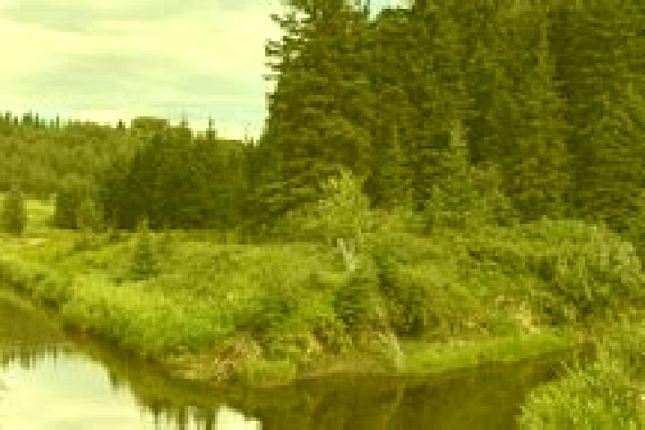 Victoria, 38 — Escort in Mactaggart, Canada