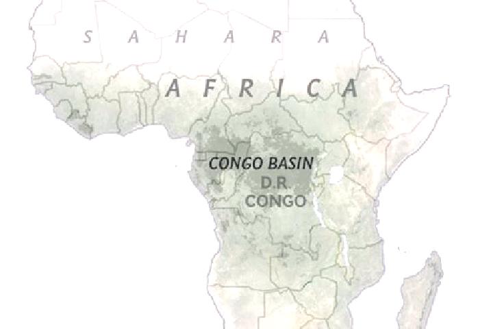 Victoria, 38 — Escort in Madingou, Congo