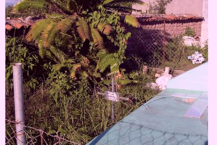 Victoria, 38 — Escort in Punuare, Honduras