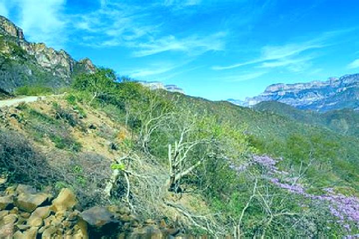 Victoria, 38 — Escort in Urique, Mexico