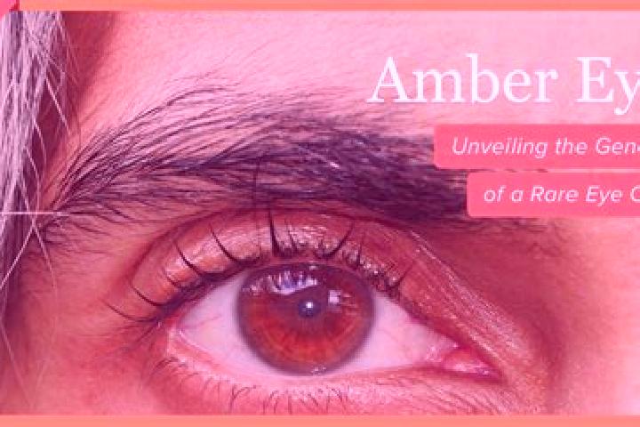 Victoria, 39, a red amber-eyed indian companion based in Kuyukoey. Offering Girlfriend Experience, Erotic Massage, Duos. Available for incall and outcall, ov...