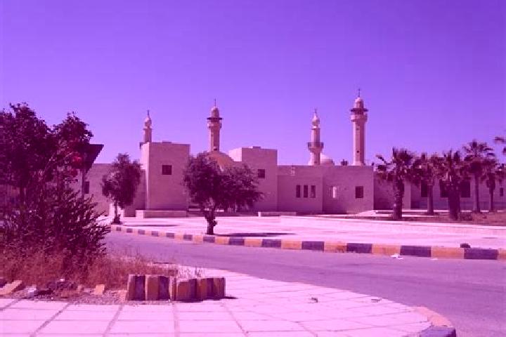 Victoria, 39 — Escort in Al Mazar al Janubi, Jordan