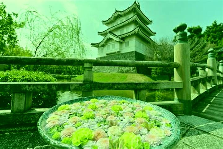 Victoria, 39 — Escort in Gyoda, Japan