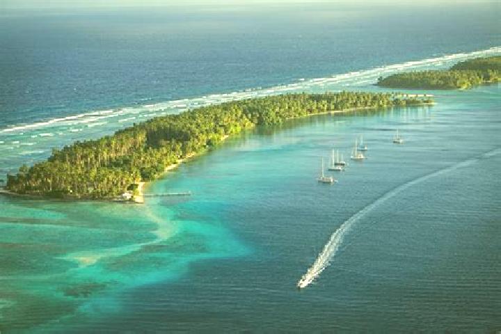 Victoria, 39 — Escort in Lae, Marshall Islands