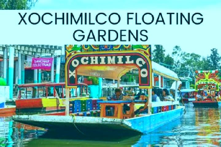 Victoria, 39 — Escort in Nuevo Xochimilco, Mexico