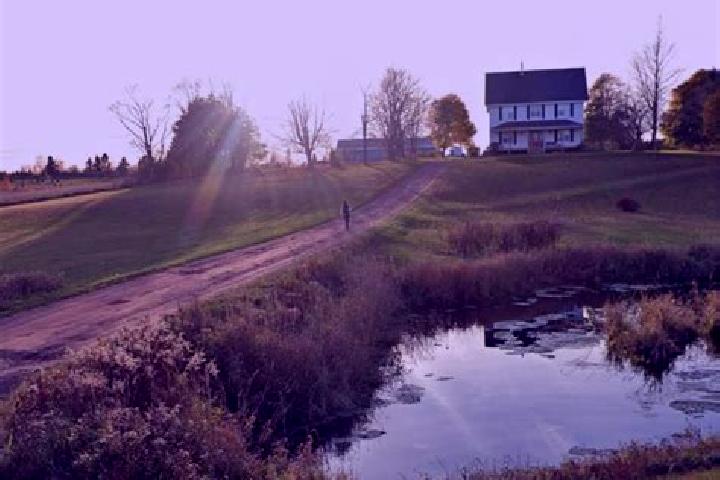 Victoria, 39 — Escort in O Leary, Canada