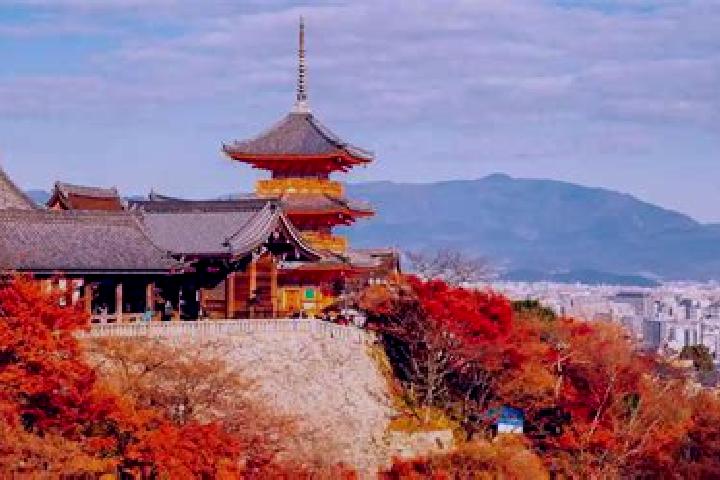 Victoria, 39 — Escort in Otawara, Japan