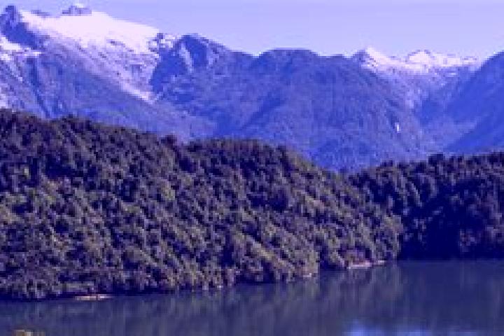 Victoria, 39 — Escort in Puerto Chacabuco, Chile