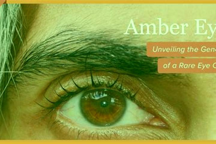 Violet, 20, a red amber-eyed mixed companion based in Lammi. Offering BDSM, Duos, Couples. Available for incall and outcall, overnight bookings available.