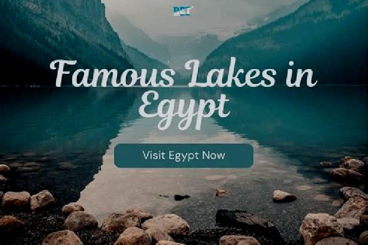 Violet, 20 — Escort in Al Yasiniyah, Egypt