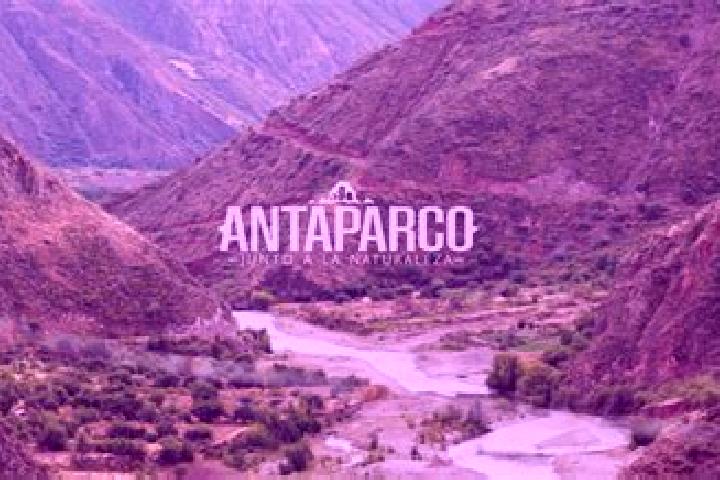 Violet, 20 — Escort in Antaparco, Peru