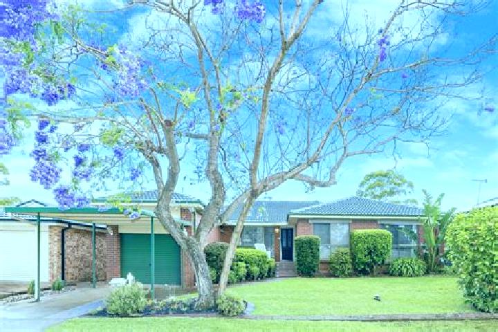 Violet, 20 — Escort in Cambridge Gardens, Australia