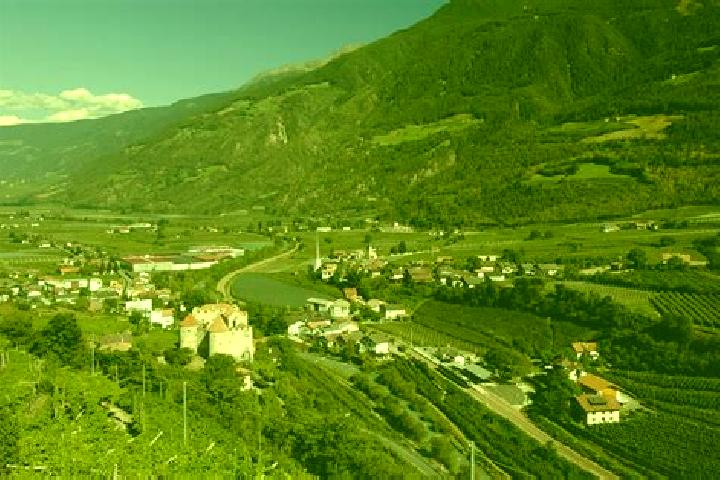 Violet, 20 — Escort in Castelbello-Ciardes - Kastelbell-Tschars, Italy