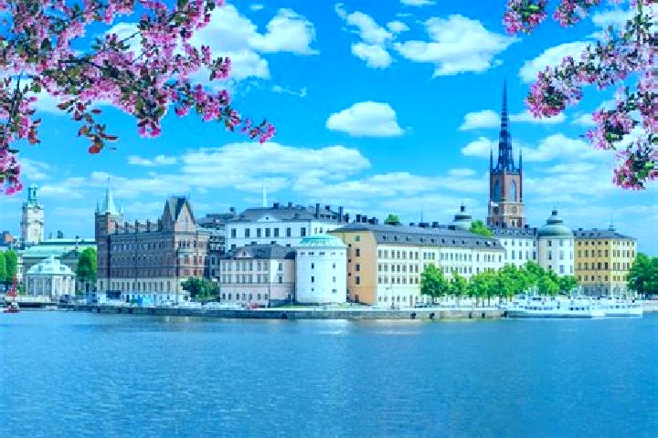 Violet, 20 — Escort in Holm, Sweden