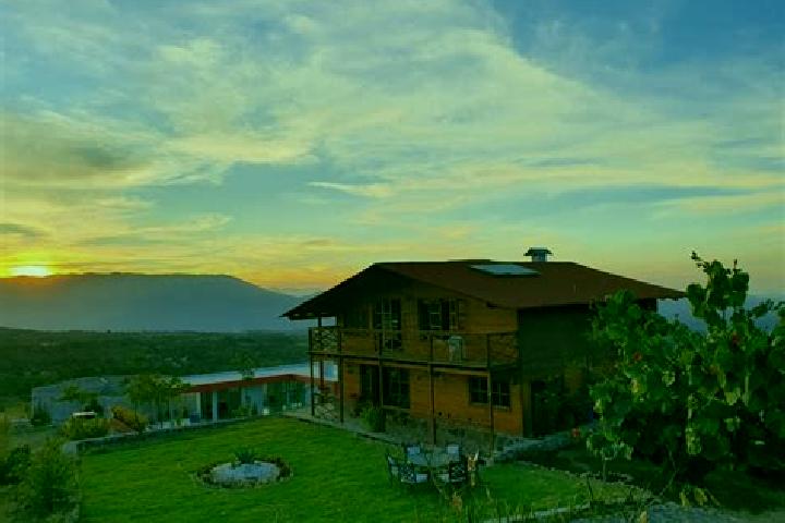 Violet, 20 — Escort in Loma del Jacal (Loma de las Mangas), Mexico