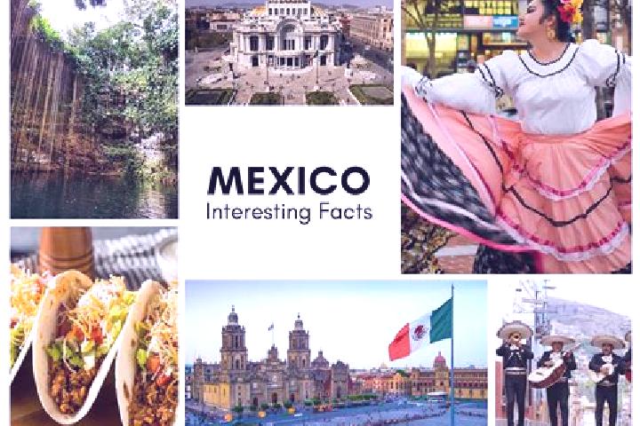 Violet, 20 — Escort in Palmas, Mexico