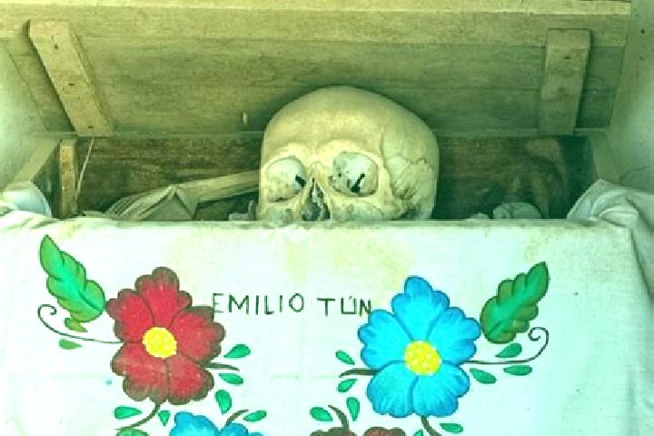 Violet, 20 — Escort in Pomuch, Mexico