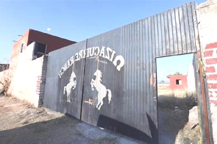 Violet, 20 — Escort in Rancho de Guadalupe (El Gato), Mexico