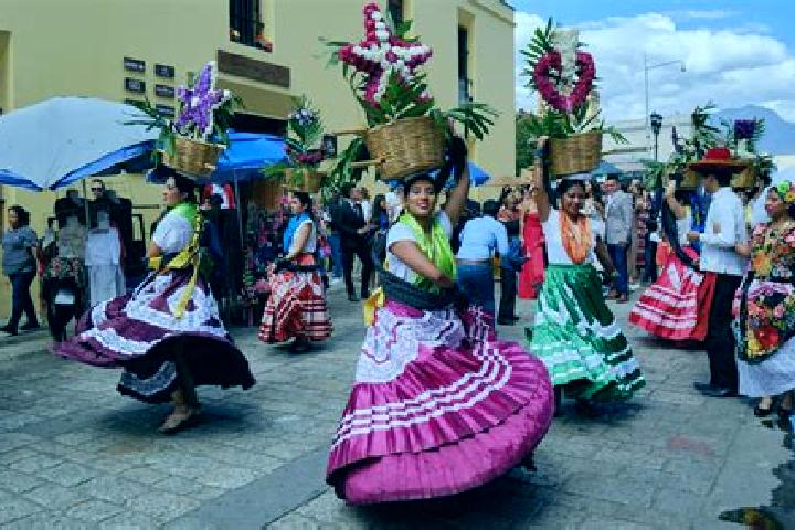 Violet, 20 — Escort in Santa Cruz Mextepec, Mexico
