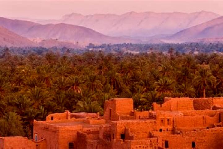 Violet, 20 — Escort in Sidi Kacem, Morocco
