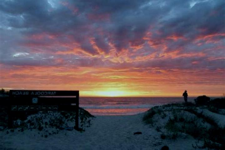 Violet, 20 — Escort in Tarcoola Beach, Australia