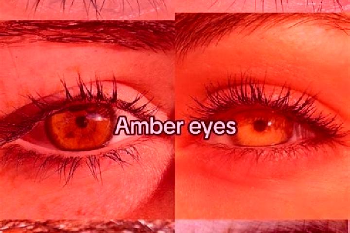 Violet, 21, a chestnut amber-eyed mixed companion based in Boyne Island. Offering Couples, 69, Travel Companion, Domination. Available for incall and outcall...
