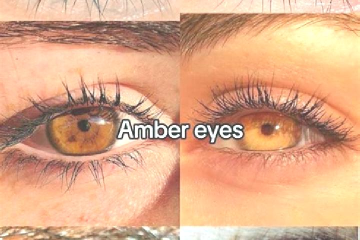 Violet, 21, a chestnut amber-eyed slavic companion based in Blackford. Offering Party Girl, Overnight. Available for incall and outcall, overnight bookings a...