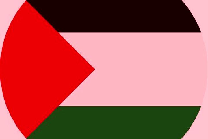 Violet, 21 — Escort in Birqin, Palestine