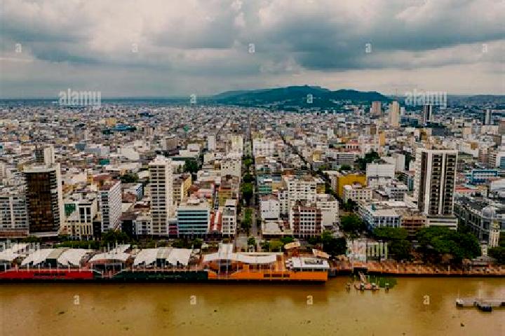 Violet, 21 — Escort in Bolivar, Ecuador