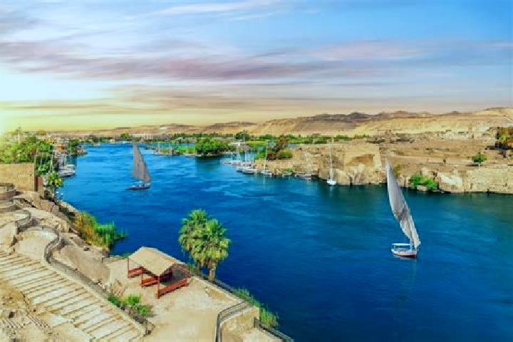Violet, 21 — Escort in Fuwwah, Egypt