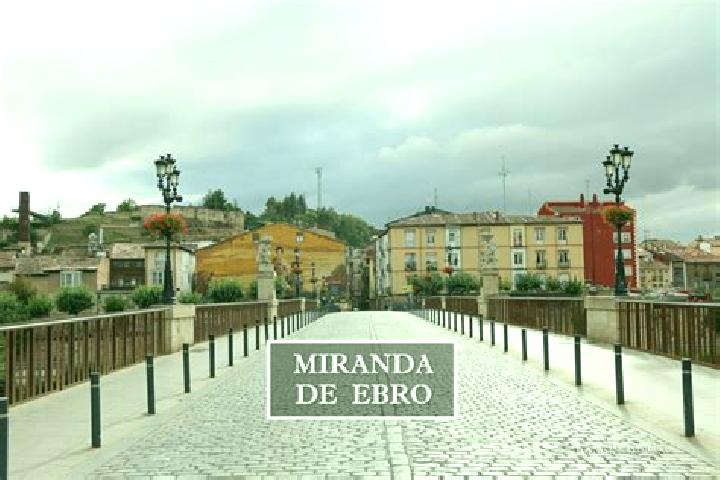 Violet, 21 — Escort in Miranda de Azan, Spain