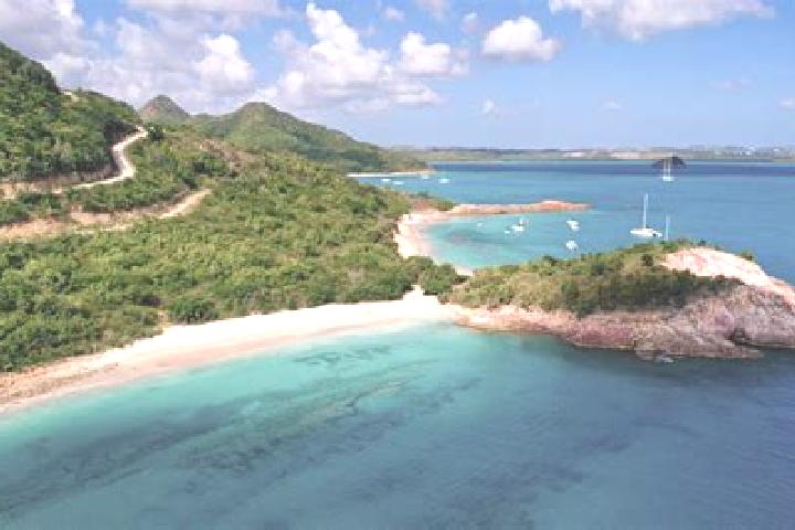 Violet, 21 — Escort in Sea View Farm, Antigua and Barbuda