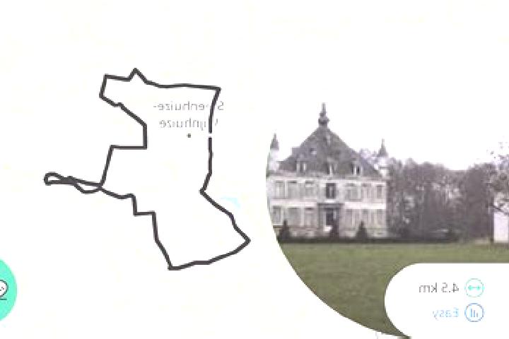 Violet, 21 — Escort in Steenhuize-Wijnhuize, Belgium