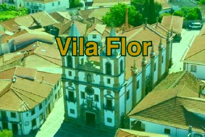 Violet, 21 — Escort in Vila Flor, Portugal