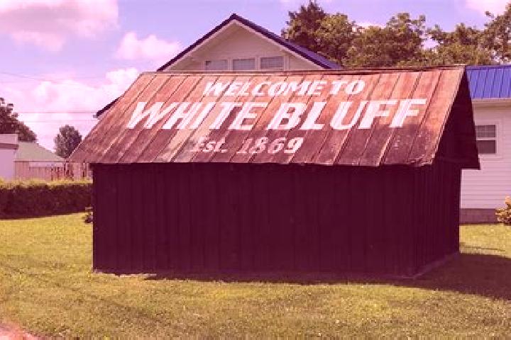 Violet, 21 — Escort in White Bluff, United States