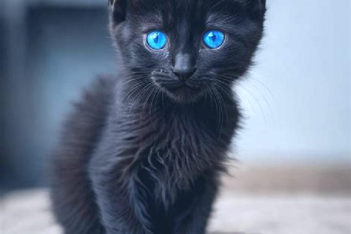 Violet, 22, a black blue-eyed caribbean companion based in Texcaltitla. Offering Fetish, 69. Available for incall and outcall, day and evening dates.