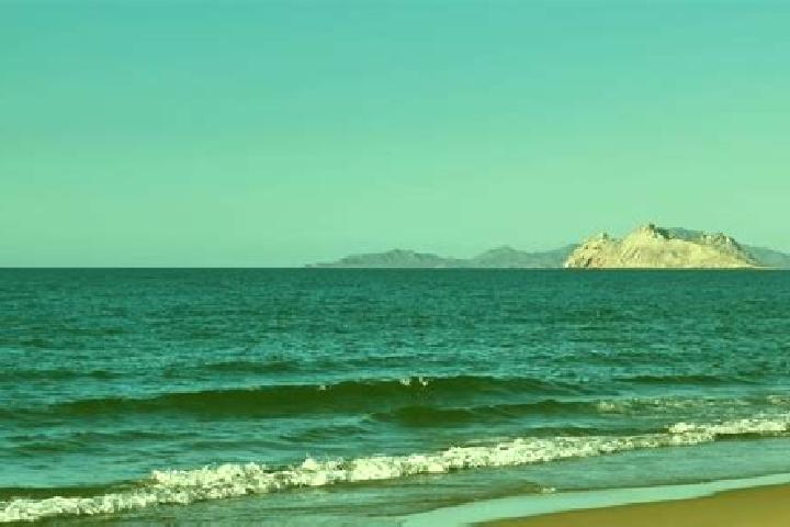 Violet, 22 — Escort in Bahia de Kino, Mexico